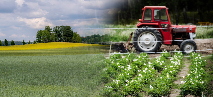 Två bilder varav en bild på ett fält och en på en traktor
