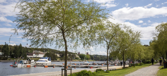 Fotografi på mälaren med en promenadsträcka längs med vattnet. Foto: Liza Simonsson. 