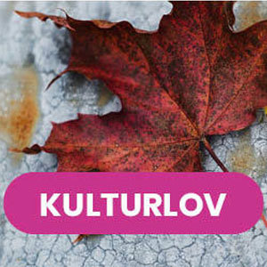 Färggrant höstlov som ligger på marken, en text ovanpå lövet säger "Kulturlov". 