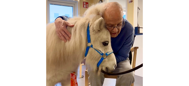 Man kramar en häst.