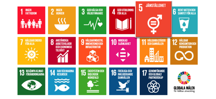 Bild som visar FN: s hållbarhetsmål. Symbolen för jämställdhet är extra  framhävd.