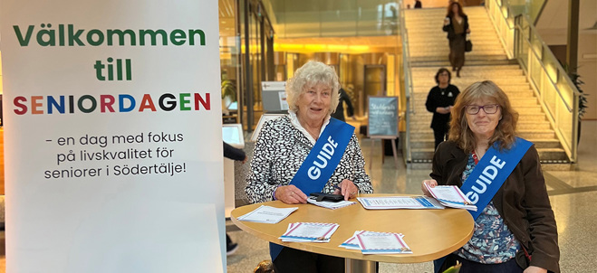 Bild från Seniordagen 2025