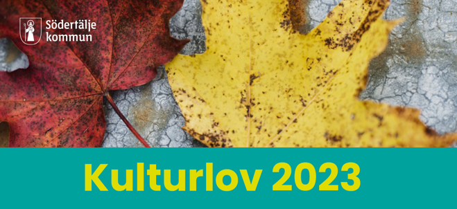 Två höstlöv på marken utomhus