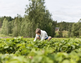 Utbilda dig inom odling