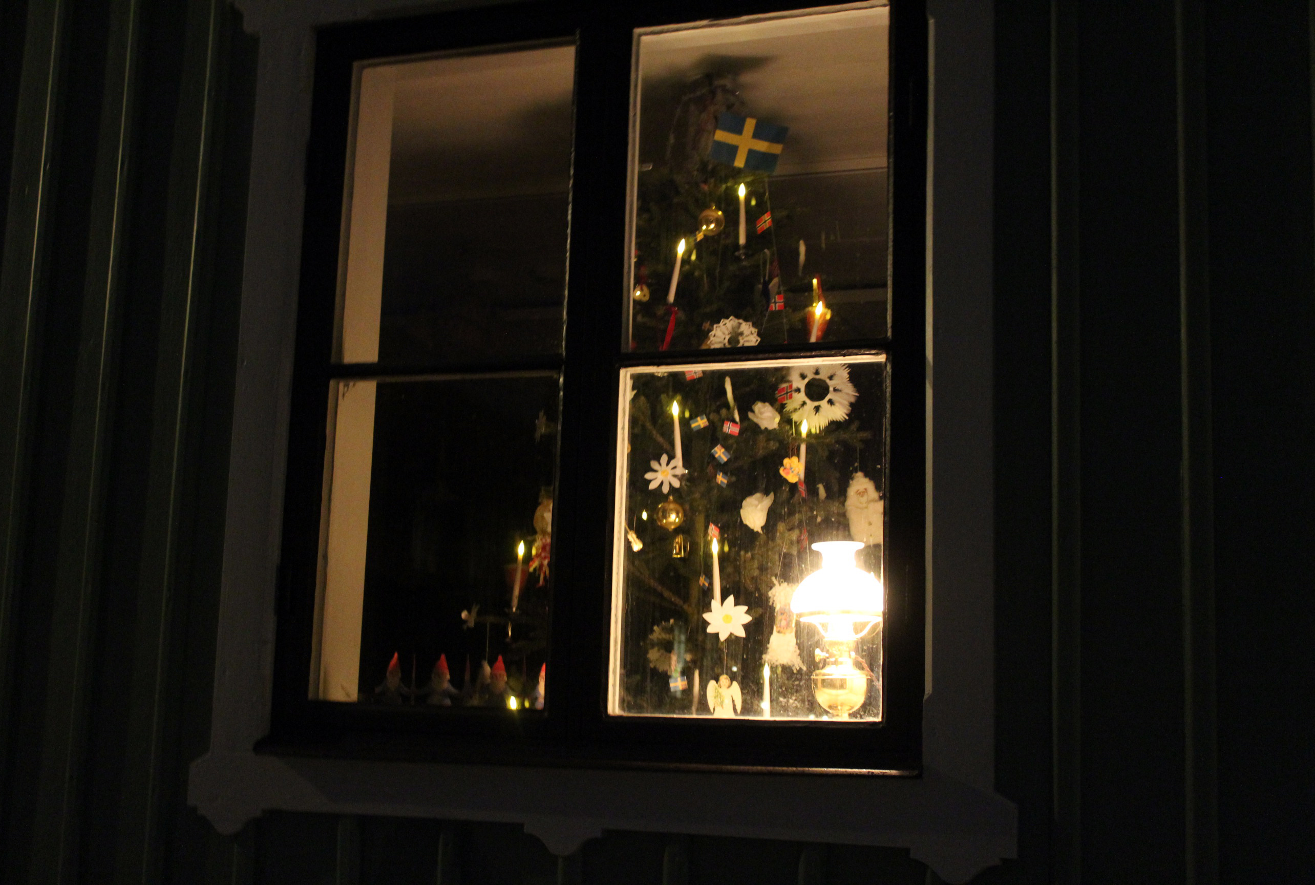 Julgran utanför fönstret.jpg