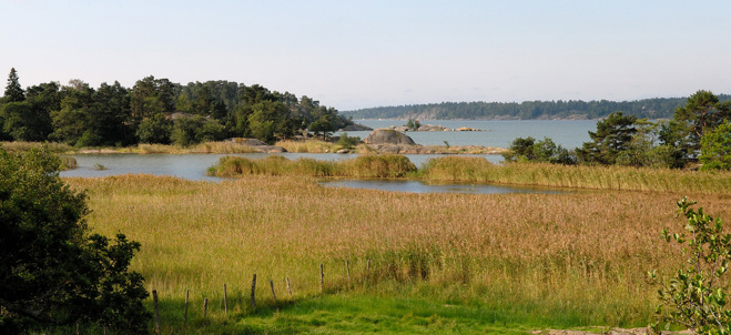Naturbild på Eriksö naturreservat