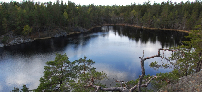 Naturbild över Stora Alsjön med skog runtom.