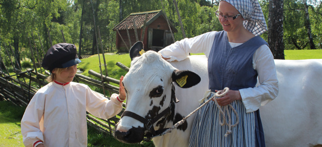 Ett barn och en vuxen klappar på en kossa