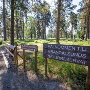 Bild över entrén in till Brandalsunds naturreservat