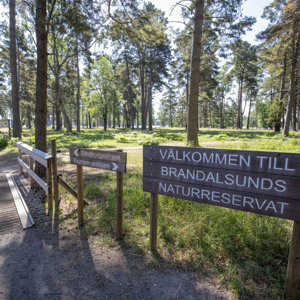 Bild över entrén in till Brandalsunds naturreservat