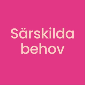 Särskilda behov