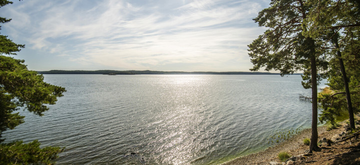 Bild på strand och vatten