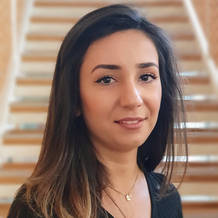 Bild på Revin Hazem